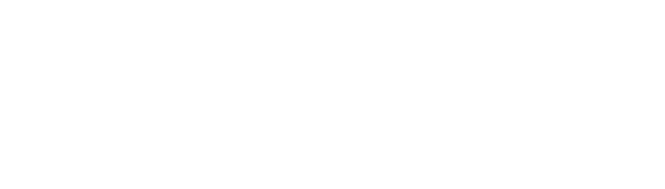 VediSverige.se – Bäst på björkved